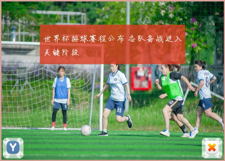 世界杯排球赛程公布 各队备战进入关键阶段