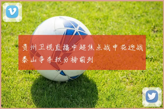 贵州卫视直播中超焦点战申花迎战泰山争夺积分榜前列