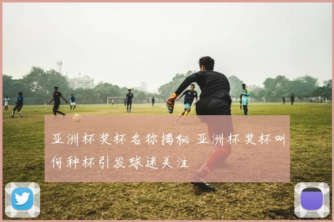 亚洲杯奖杯名称揭秘 亚洲杯奖杯叫何种杯引发球迷关注