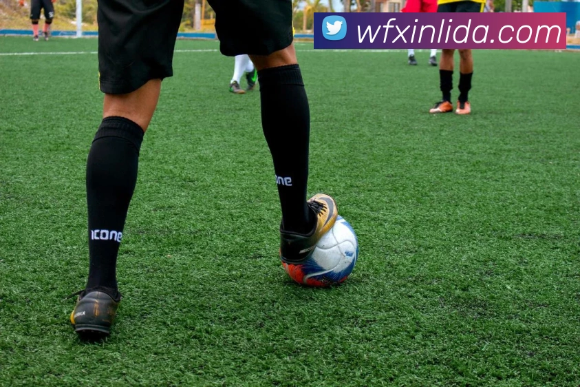 App Interface Preview