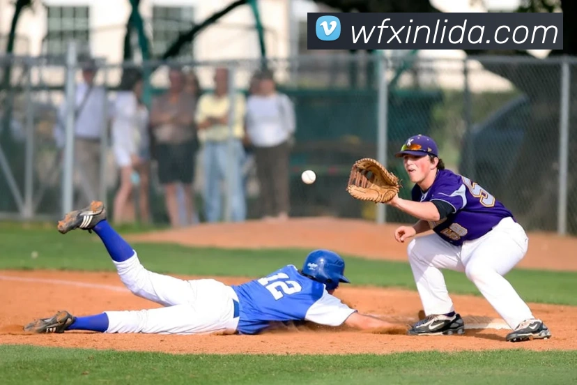 乐鱼网页版登录入口APP 封面图