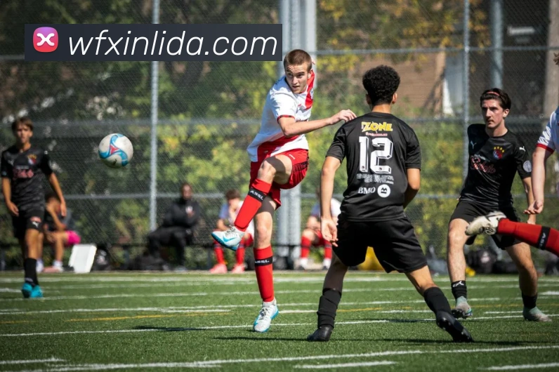 数据防护可视化